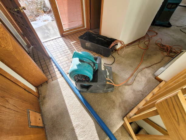 Hanna City, IL Water damage restoration Company